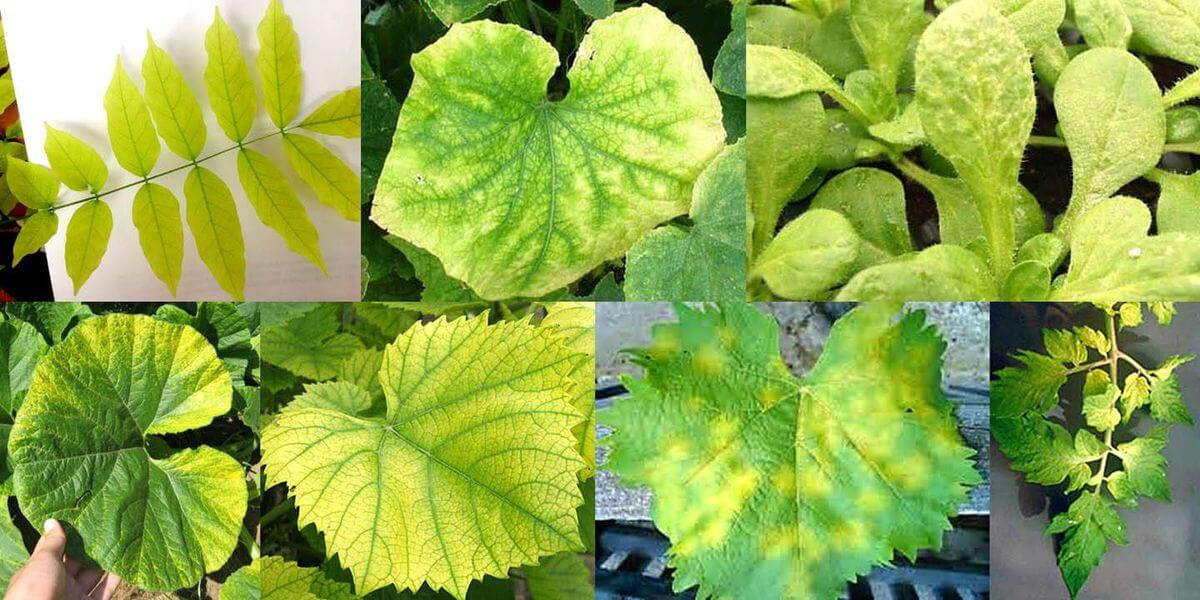 55728_031.jpg 55728_031.jpg